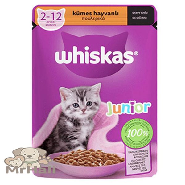 پوچ بچه گربه ویسکاس Whiskas مرغ 85 گرم