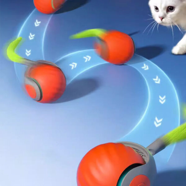 توپ هوشمند پردار حیوانات کریزی کت Crazy Cat - تصویر 7