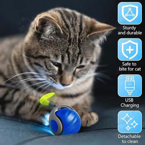 توپ هوشمند پردار حیوانات کریزی کت Crazy Cat - تصویر 2