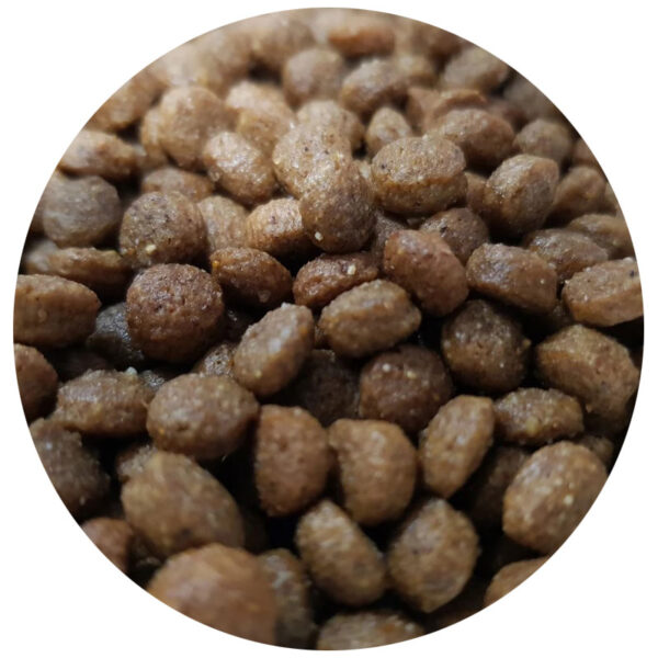 غذا خشک بچه گربه وودو Voodoo مدل کیتن 2 کیلوگرم - تصویر 2