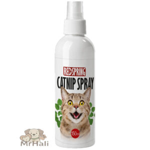 redspring-کت-نیپ