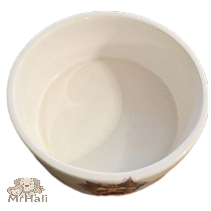 ظرف غذا و آب سگ و گربه سرامیکی طرح سگ