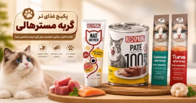 پکیج غذای تر گربه مسترهالی