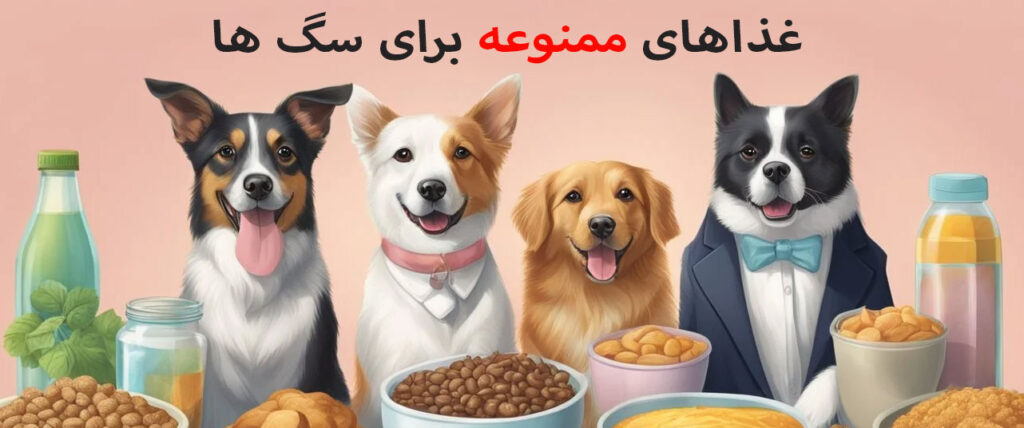 سگ چی نباید بخوره