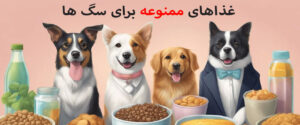 سگ چی نباید بخوره