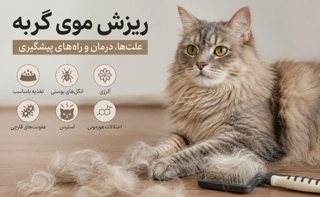 ریزش موی گربه
