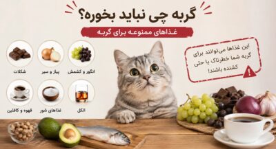 گربه چی نباید بخوره؟