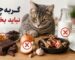 گربه-چی-نباید-بخوره؟
