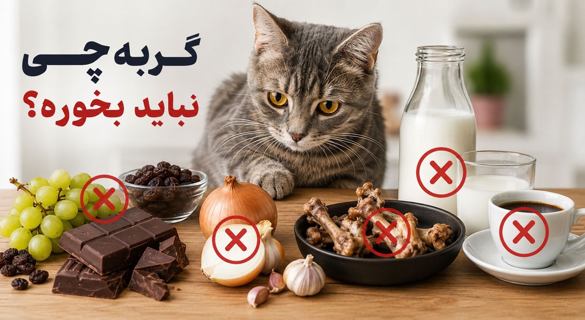 گربه-چی-نباید-بخوره؟