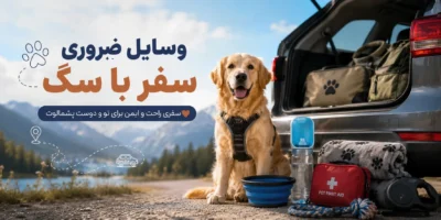 وسایل ضروری سفر با سگ | چک لیست کامل سفر راحت و ایمن با حیوان خانگی