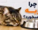 چرا گربه آب نمی‌خورد؟